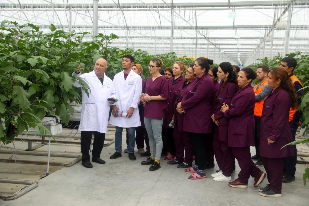 Dövlət Məşğulluq Xidməti işəgötürənlərin sifarişi ilə peşə kurslarının təşkilinə başladı