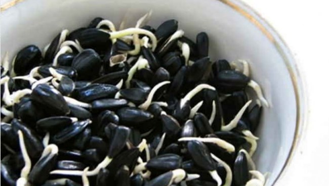 40 yaşlı müğənnini bağırsaq xərçəngindən xilas edən toxum – Babasını da ölümdən qurtarmışdı