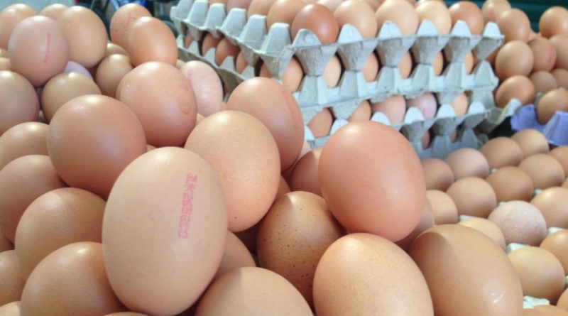 50 yumurta yeyə biləcəyini düşünüb bəhsə girdi, 42-cidə öldü