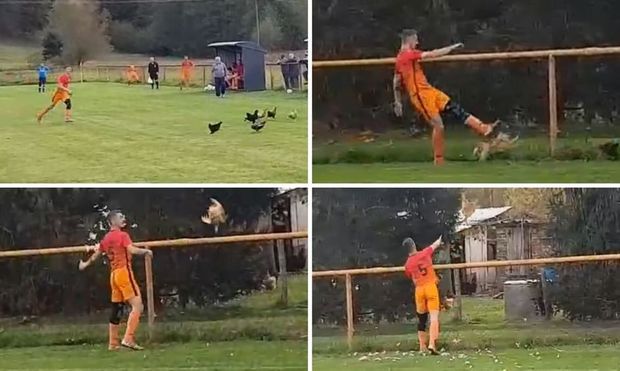 Futbolçu toyuğu stadiondan qovarkən özü qovuldu - VİDEO