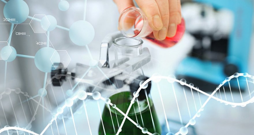 Создано мощное лекарство против рака