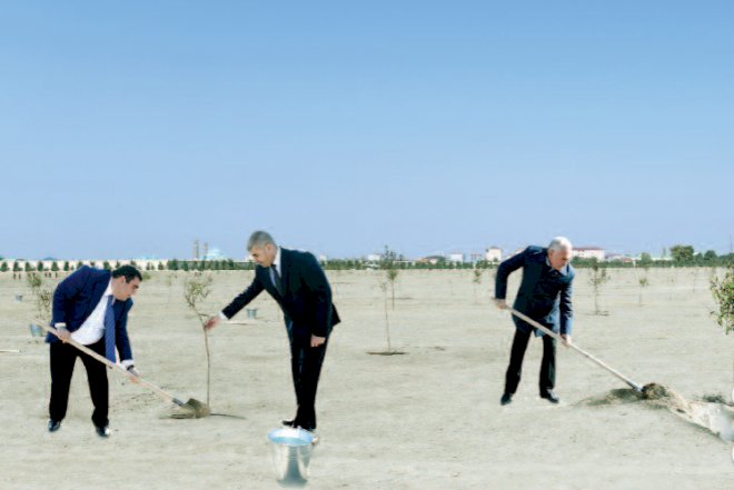 Vasif Talıbov oğlu ilə ağac əkdi – Video