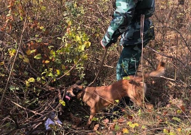 DSX-dən meşə əməliyyatı: Silahlar aşkarlandı - FOTO