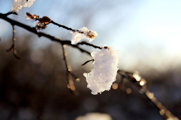 Bakıya yağış, rayonlara qar yağacaq