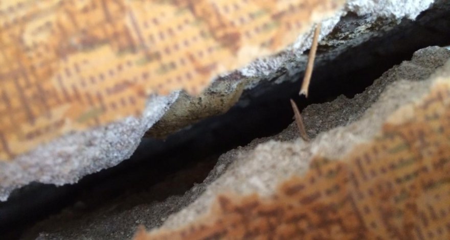 Как известного нефтяника довели до могилы и отделались штрафом в 500 манатов. Вопиющий случай в Бузовна - ФОТО