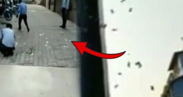 Göydən pul yağdı