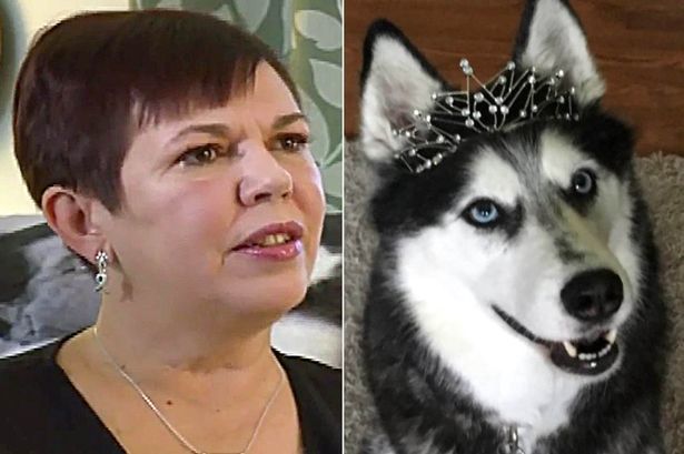 Собака спасла хозяйку от рака