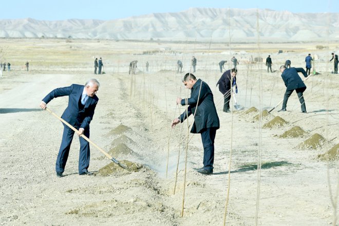 Vasif Talıbov iməclik keçirdi