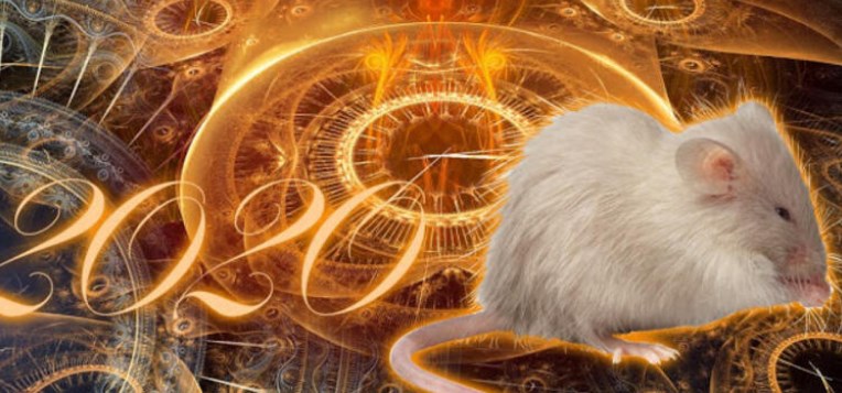 2020-ci ildə bu bürclərin bütün sahələrdə bəxti gətirəcək