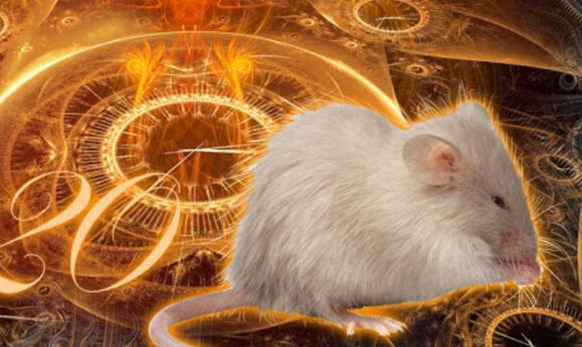 2020-ci ildə bu bürclərin bəxti bütün sahələrdə gətirəcək