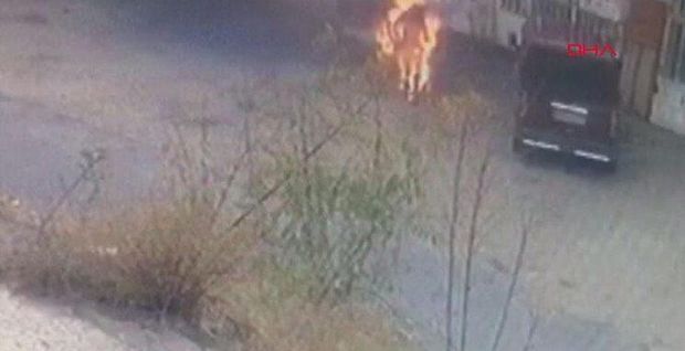 Sobanı yandırmaq istəyəndə alov aldı - VİDEO