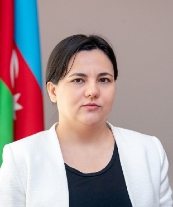 Kənd Təsərrüfatı nazirinin müavini: Fermerlərin ilin sonunadək payızlıq əkinləri EKTİS-də bəyan etməsi vacibdir