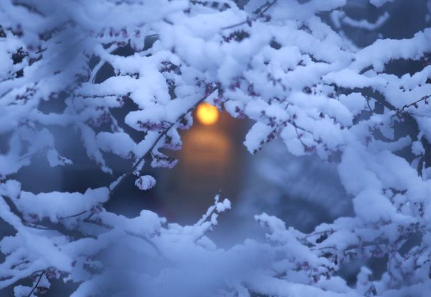 Hava kəskin soyuyur: külək, yağış, qar - XƏBƏRDARLIQ