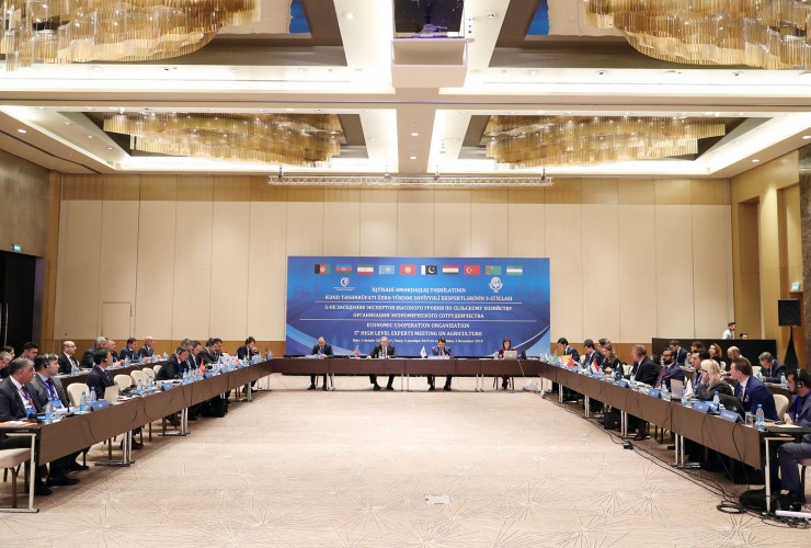 Bakıda ECO ölkələrinin kənd təsərrüfatı üzrə yüksək səviyyəli ekspertlərinin V iclası keçirilir