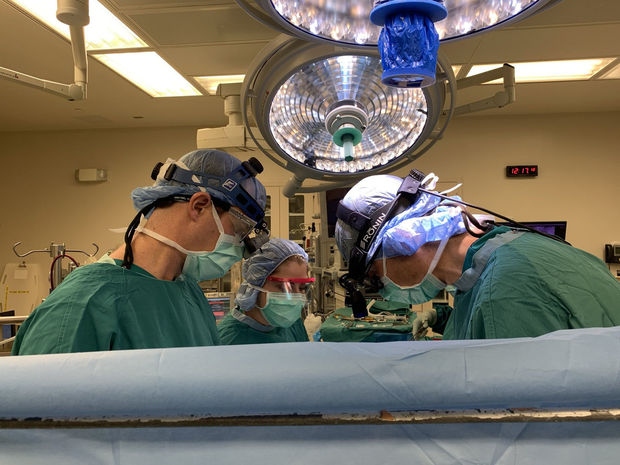 Врачи сняли, как сердце, изъятое у донора после смерти, снова начало биться - ВИДЕО