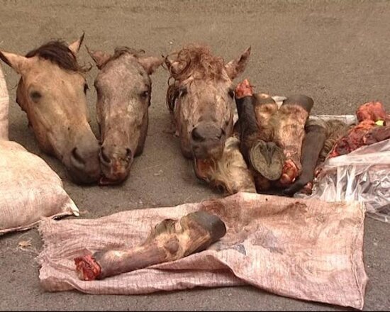 Balakəndə at əti satan keçmiş məhkum TUTULDU