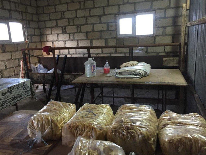 Saçaqlı pendir alarkən diqqətli olun - Antisanitariya - FOTO