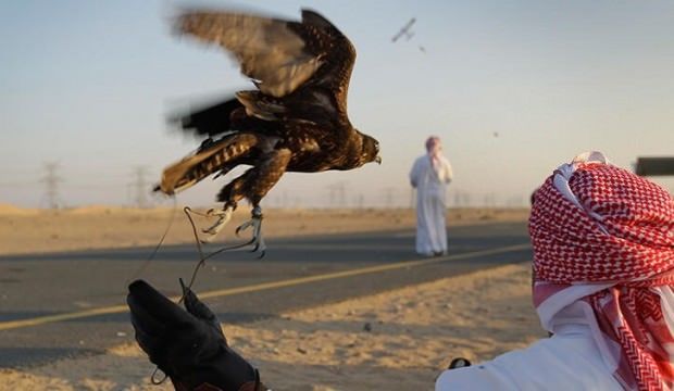 Azərbaycanda ov edən qətərli şahzadələr Pakistanda tutuldu