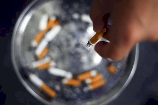 Akademiya uşaqlara siqaret çəkməyi məsləhət gördü - Skandal