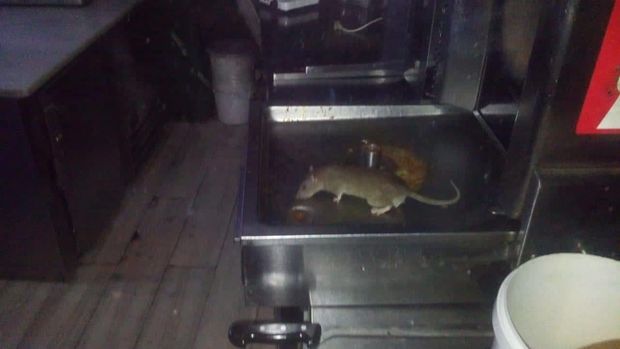 Агентство продбезопасности начало проверку по факту наличия мышей в бакинском ресторане