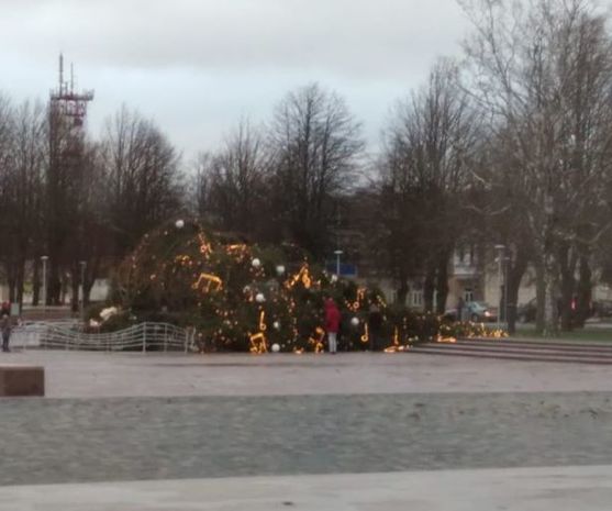 Ураган в Латвии обрушил новогоднюю елку - ФОТО