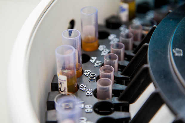 Найдено средство, способное победить рак поджелудочной железы