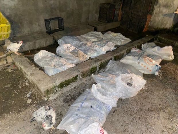 Bakıda daha bir sexdə iyrənc mənzərə: Müəssisə bağlandı - FOTO