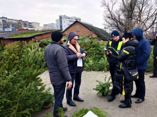Qanunsuz şam ağacı satan azərbaycanlı məsuliyyətə cəlb edildi