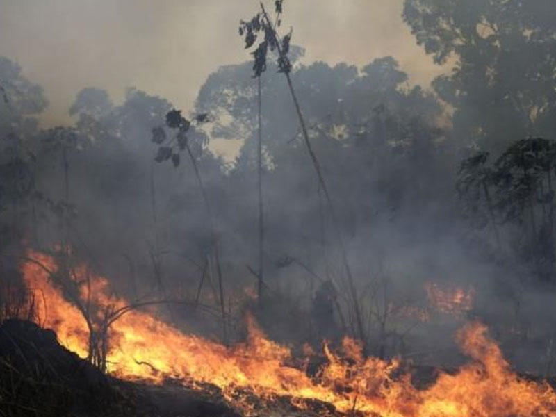 Tovuzda dağlıq ərazidə yanğın başlayıb