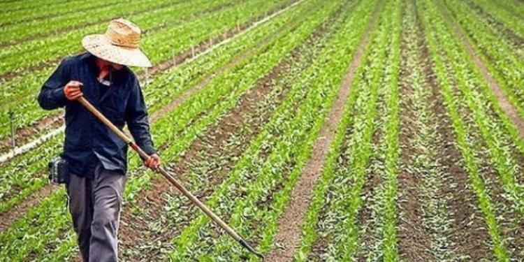 “Kənd təsərrüfatı məhsulları istehsalının subsidiyalaşdırılması” Qaydası yanvarın 1-dən QÜVVƏYƏ MİNDİ