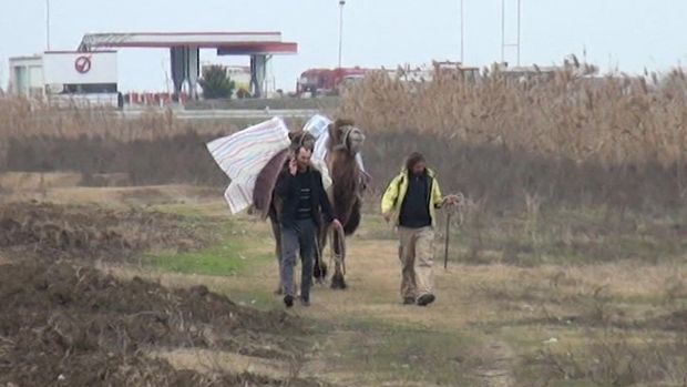 Dünyanı dəvə ilə gəzən turist Azərbaycandan keçdi - VİDEO