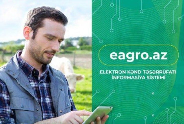 Kənd təsərrüfatı məhsulları istehsalının subsidiyalaşdırılması üzrə yeni qayda qüvvəyə minib