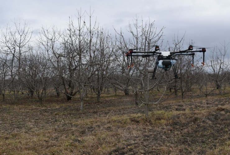“Alimlər fermerlərin yanında” layihəsinin icrasına başlanıb