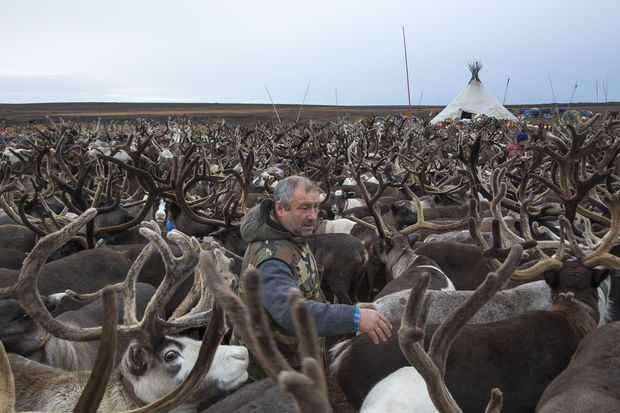 On altı gün Tundrada itkin düşən şəxs sağ tapıldı