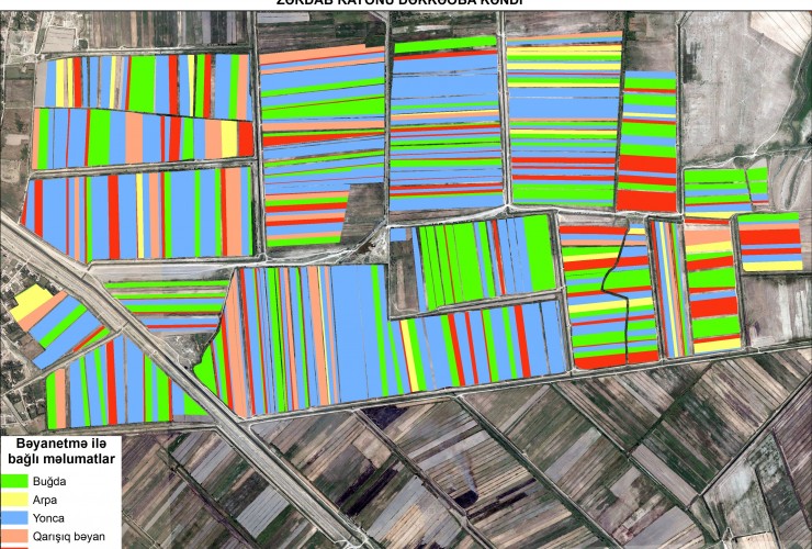 EKTİS-də payızlıq əkinlərlə bağlı məlumatların “Azərkosmos”dan aparılan çəkilişlər əsasında yoxlanılmasına başlanıb