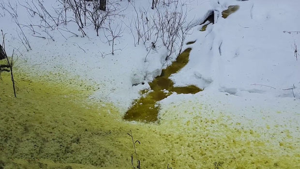 Yaşıl qar sakinləri qorxutdu - VİDEO