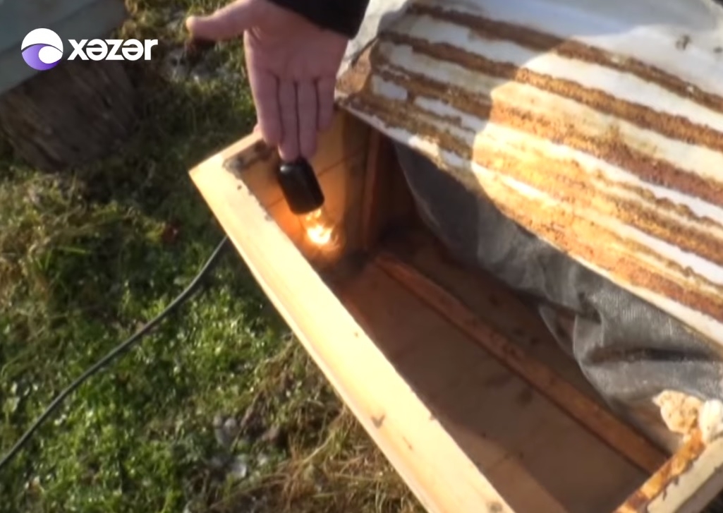 Azərbaycanda fermer elektrik lampasından görün nə etdi - VİDEO