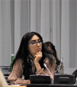 Diaspor nümayəndəsi Gədəbəydən deputatlığa namizəd oldu