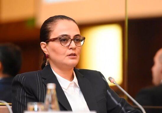 PA rəsmisi: “2019-cu il Azərbaycanda islahatar ili kimi yadda qalacaq”