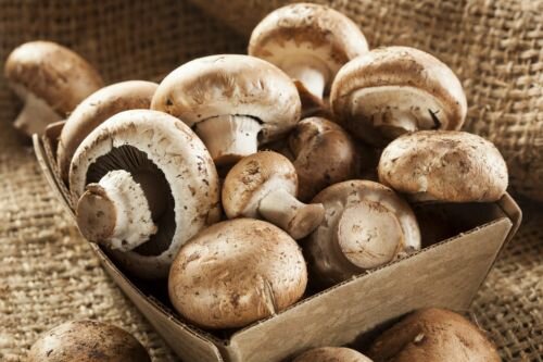 Azərbaycanda bir ailənin beş üzvü göbələkdən zəhərləndi