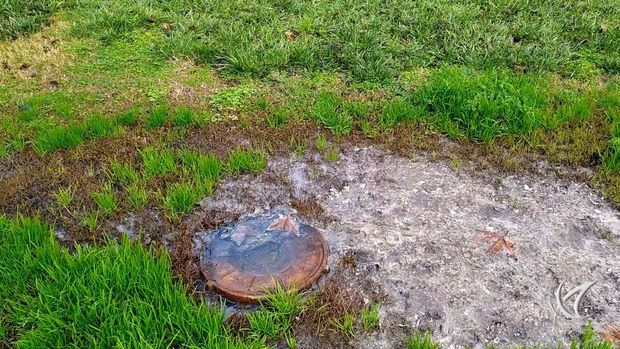 Bakının ən qədim parkı çirkab sularına “təslim olub” - VİDEO