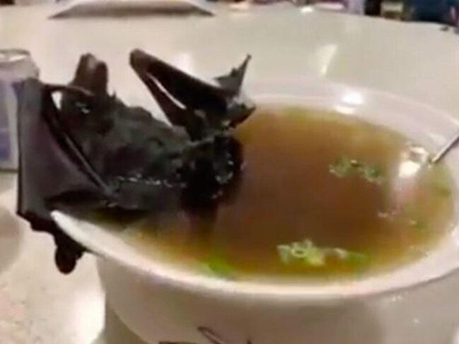 Ölümcül virusun mənbəyi bilindi - Yarasa supundan keçib - VİDEO