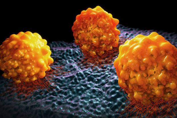 Ученые о том, как остановить распространение рака