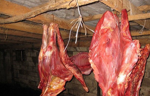 Bakıda iyrənc mənzərə: Heyvanlar kəsilib, qanı yola axıdılır - VİDEO