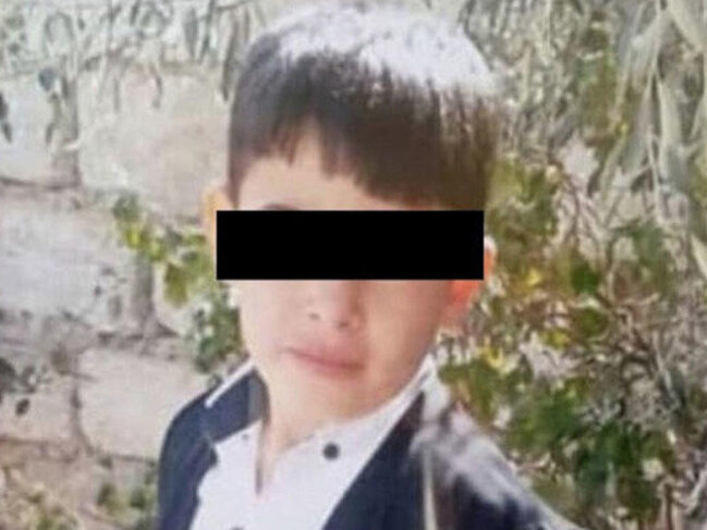 Bakıda it dişləyən 4-cü sinif şagirdi öldü - FOTO