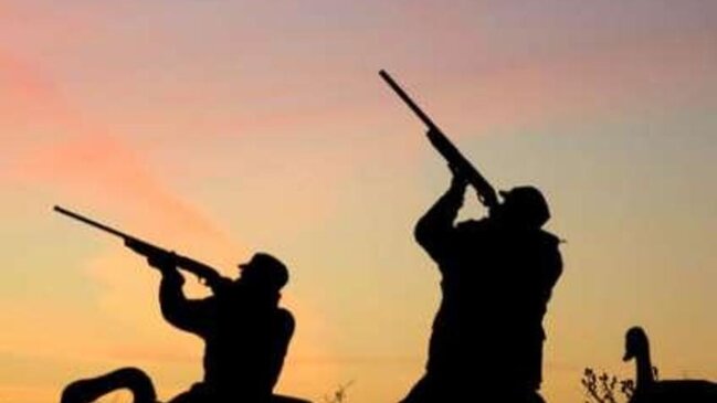 Xəzər dənizində quş ovu qadağan edildi