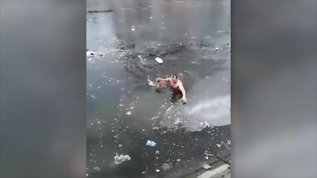 İti xilas etmək üçün həyatını təhlükəyə atdı - VİDEO