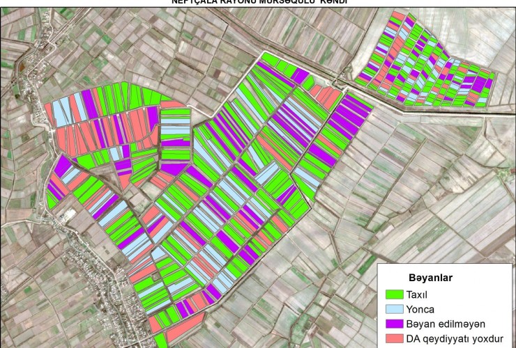 Azərbaycanın rayonlarında payızlıq əkin məlumatlarının peyk vasitəsilə yoxlanması davam edir