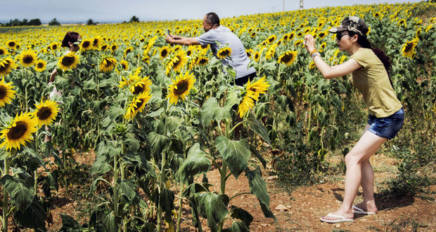 Человеческая глупость получила простое научное объяснение
