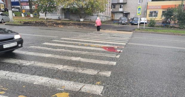 Sürücü qadını və onun oğlunu piyada keçidində vurdu – VİDEO